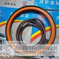重汽陕汽配件 斯太尔后轮油封 190*220*30