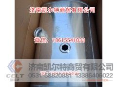 WG9725550006D型油箱,WG9725550006D型油箱,济南凯尔特商贸有限公司