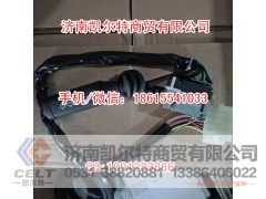 WG9130583017,WG9130583017款组合开关strw,济南凯尔特商贸有限公司