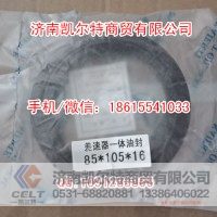 斯太尔豪沃 85X105X16STR差速器油封一体
