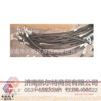 斯太尔豪沃WG1630820015高压软管