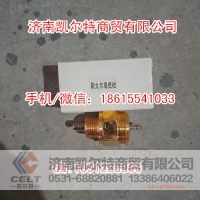 斯太尔豪沃79100710069高低档开关