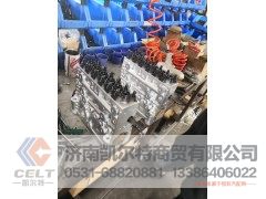 615T1081000,高压油泵,济南凯尔特商贸有限公司