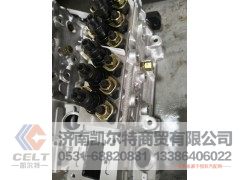61561D50801,高压油泵,济南凯尔特商贸有限公司