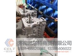 61561D50801,高压油泵,济南凯尔特商贸有限公司