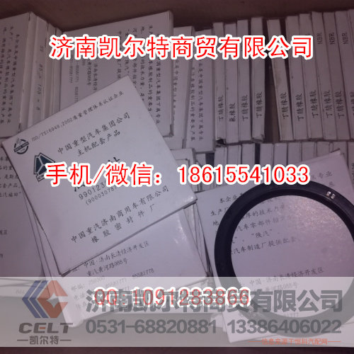 斯太爾豪沃85X105X16差速器一體油封/