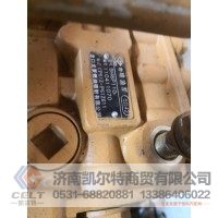 厂家直销重汽斯太尔豪沃BP3019高压油泵