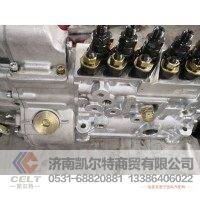 斯太尔豪沃612600081068Y高压油泵