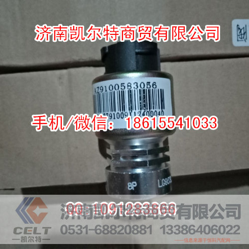 WG9100583056,里程表传感器,济南凯尔特商贸有限公司