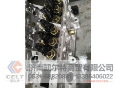 612600081069Y,高压油泵,济南凯尔特商贸有限公司