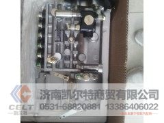 WG1246080097,喷油泵总成,济南凯尔特商贸有限公司