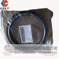 后油封总成   VG1047010050