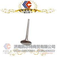 凯尔特 豪沃 612600050025  排气门（欧二）