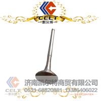 凯尔特 豪沃 612600050073 进气门（欧二）