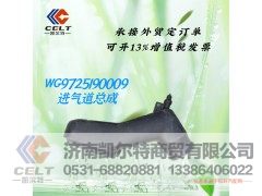 WG9725190009,进气道总成,济南凯尔特商贸有限公司