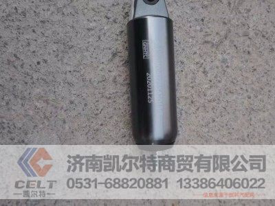 WG9725542045-1,1蝶阀助力缸（09款）,济南凯尔特商贸有限公司