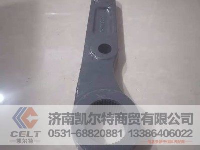 WG99331479020/1,方向机垂臂,济南凯尔特商贸有限公司