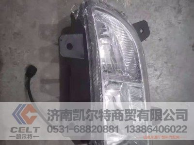 WG9719720025,10款雾灯,济南凯尔特商贸有限公司