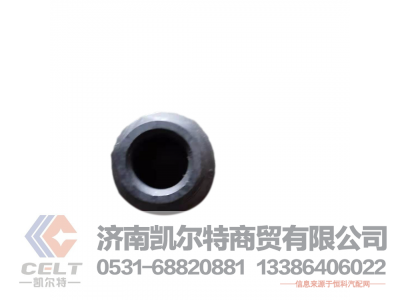 WG9003884160,车轮螺母,济南凯尔特商贸有限公司
