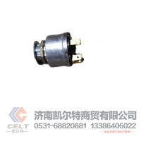 WG9000580048,钥匙启动开关,济南凯尔特商贸有限公司
