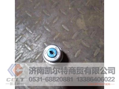 WG9000580048,钥匙启动开关,济南凯尔特商贸有限公司