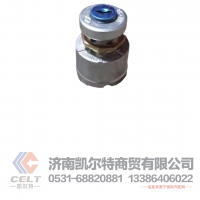 WG9000580048,钥匙启动开关,济南凯尔特商贸有限公司