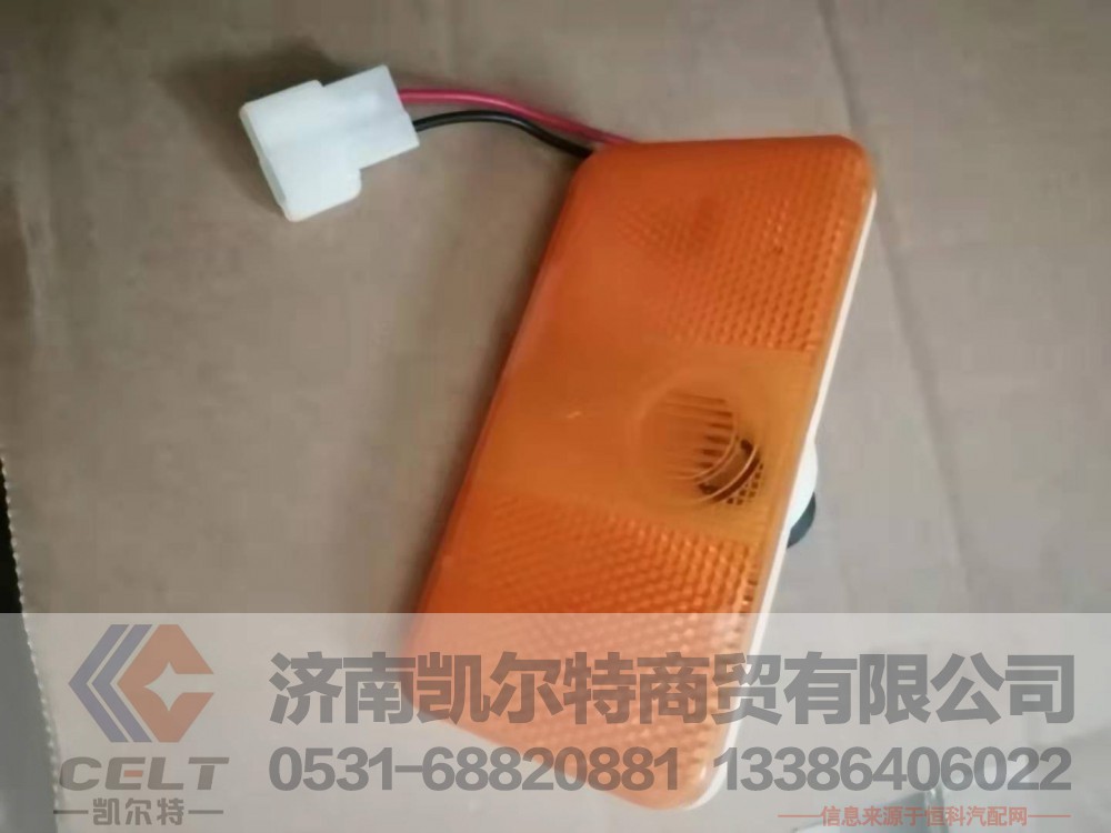 WG9100720012 