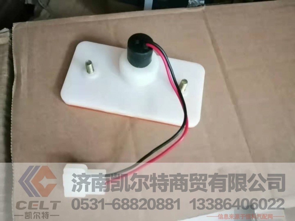  WG9100720012 