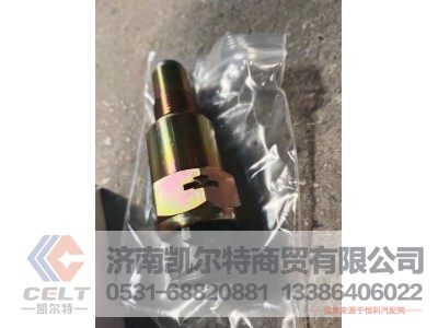 WG2209280010,里程表传感器（电磁式车速传感器）,济南凯尔特商贸有限公司