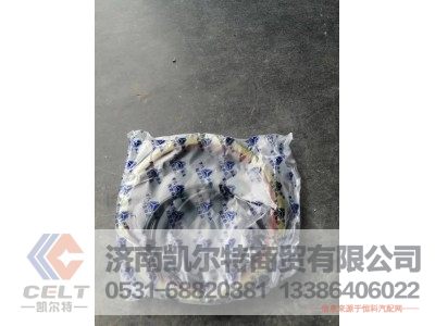 WG9112340113,油封,濟南凱爾特商貿有限公司