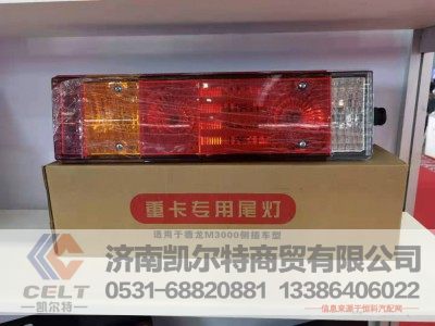 81.25225.6464/65,组合尾灯f3000用,济南凯尔特商贸有限公司