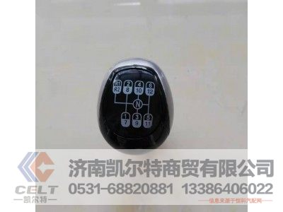 WG9700240022,变速器换挡手柄及挡位标牌总成(12挡),济南凯尔特商贸有限公司