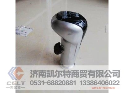 WG9700240022,变速器换挡手柄及挡位标牌总成(12挡),济南凯尔特商贸有限公司