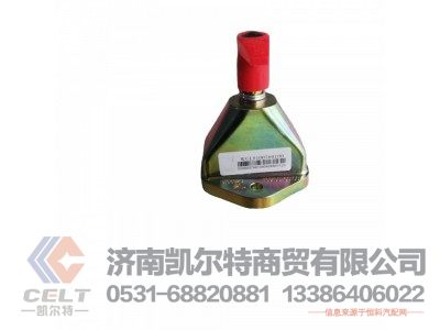 WGL9100760100,电源开关,济南凯尔特商贸有限公司