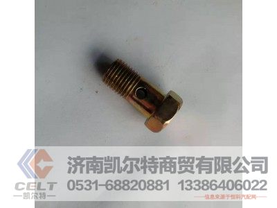 90003962621/0017,空心螺栓,济南凯尔特商贸有限公司