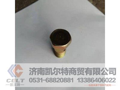 90003962621/0017,空心螺栓,济南凯尔特商贸有限公司