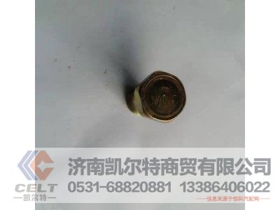 90003962621/0017,空心螺栓,济南凯尔特商贸有限公司