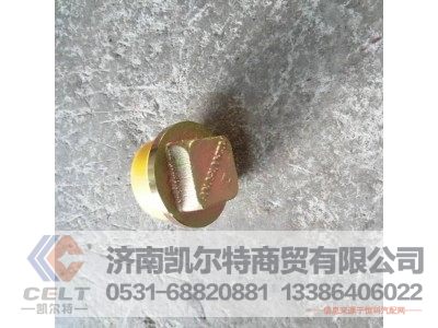 G2600150108,油底壳螺丝 铁外四方,济南凯尔特商贸有限公司