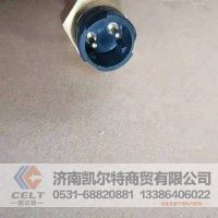 WG2209280024高低档压力开关DIN接头