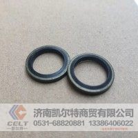 VG9003080005 复合密封垫圈