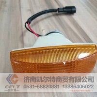 WG9925720013豪沃A7 T5G侧转向灯