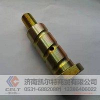 WG1642430071 豪沃前悬摆臂螺丝