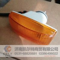WG9925720013豪沃驾驶室侧转向灯右