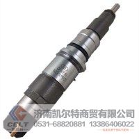 承接外贸订单 0445120059喷油器