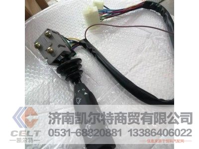 DZ9100580076,组合开关(转向柱上),济南凯尔特商贸有限公司