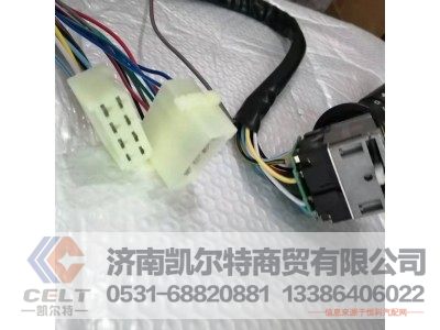 DZ9100580076,组合开关(转向柱上),济南凯尔特商贸有限公司