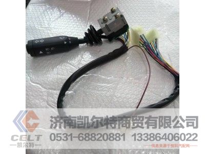 DZ9100580076,组合开关(转向柱上),济南凯尔特商贸有限公司