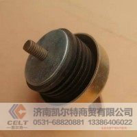 承接外贸订单WG2600010489加油管盖总成