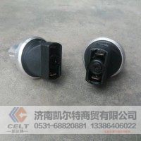 承接外贸WG1200190040空滤器堵塞开关