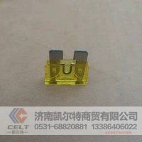 外贸订单 20A保险丝片 81.25436.0067